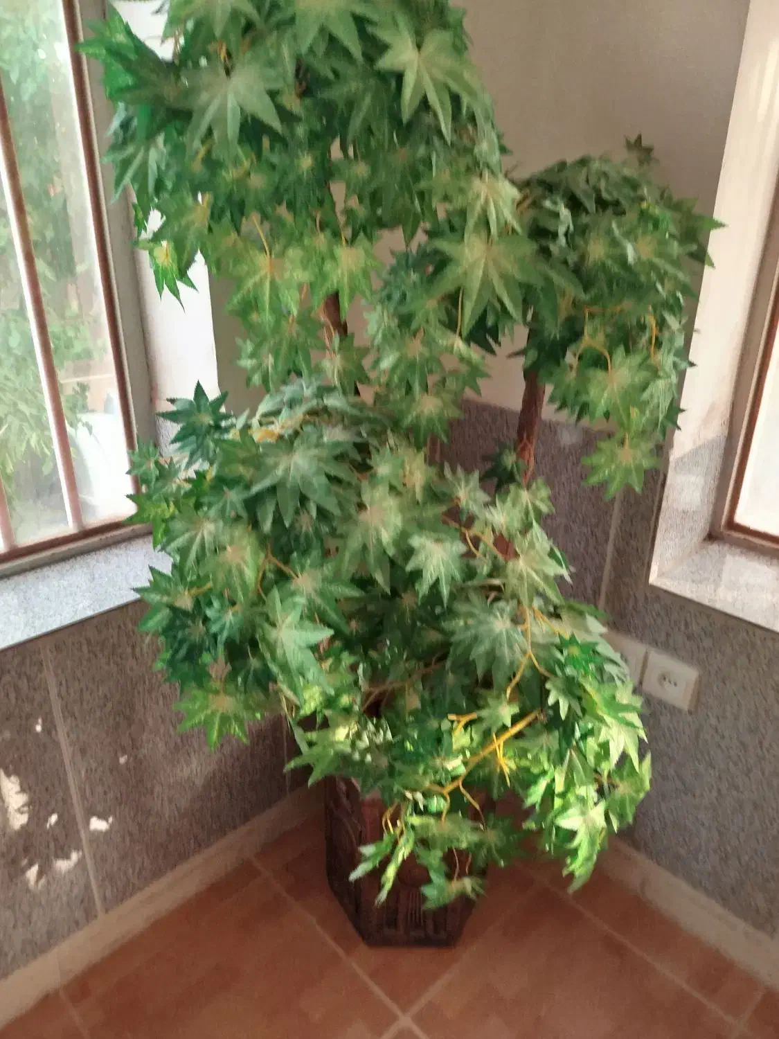 گل مصنوعی|گل مصنوعی|شهرکرد, |دیوار