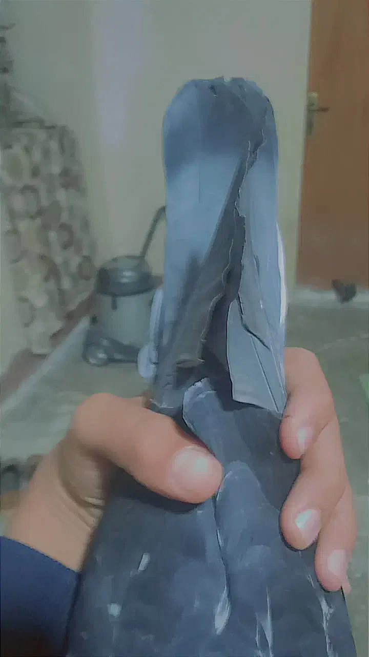 چاپی|پرنده|مسجد سلیمان, |دیوار