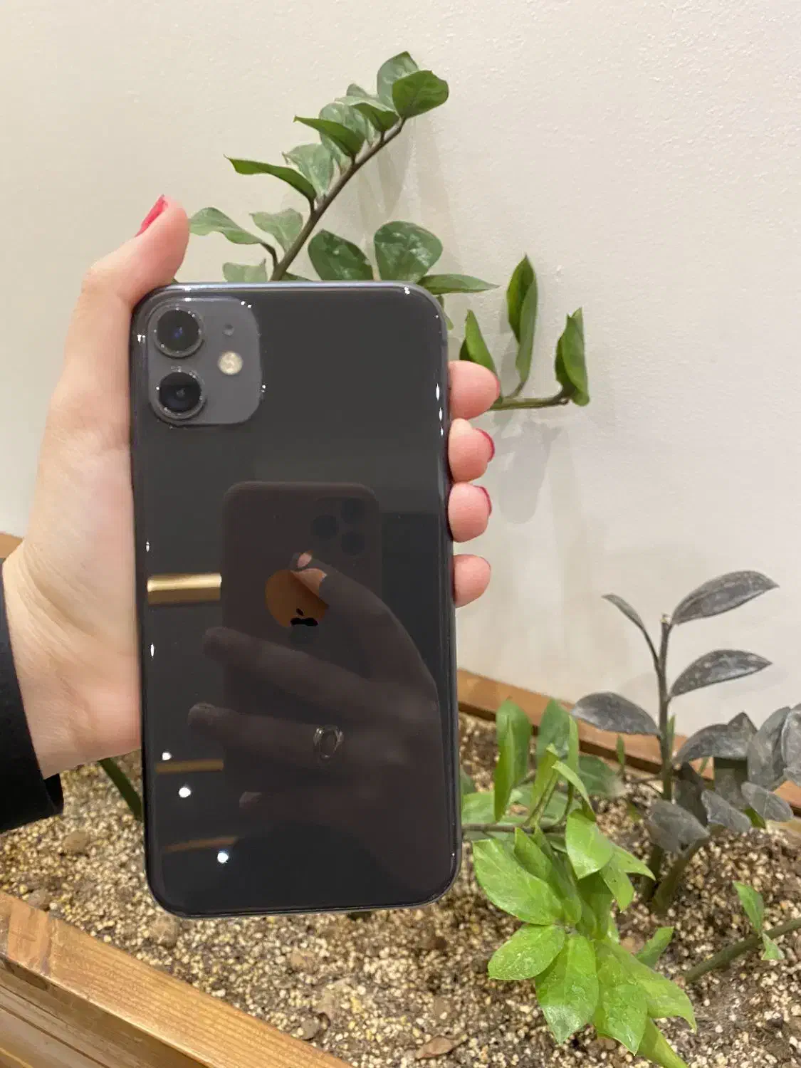 آیفون 11|موبایل|قم, بلوار امین و ساحلی|دیوار