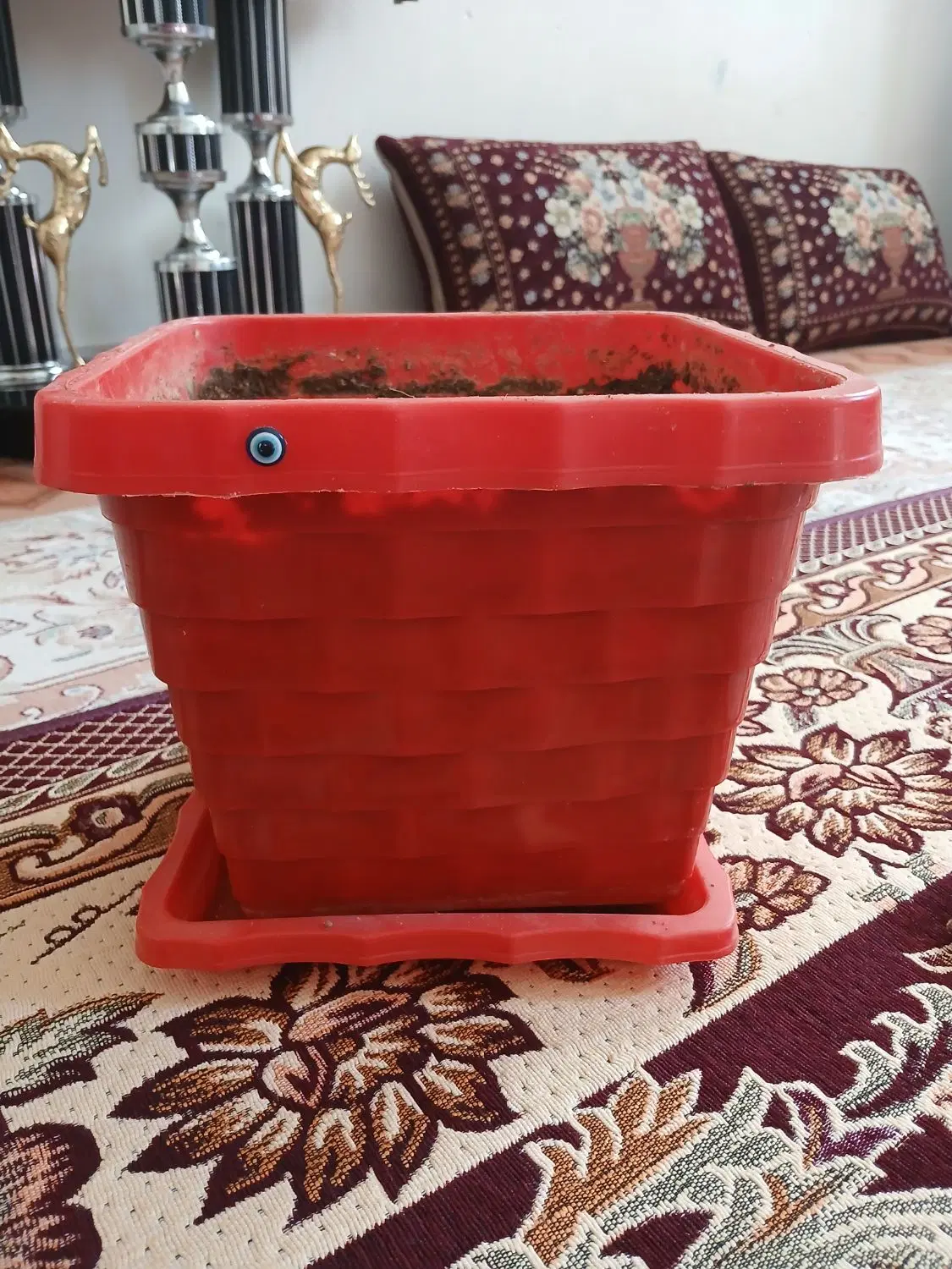 گلدان بزرگ|گل و گیاه طبیعی|اراک, |دیوار
