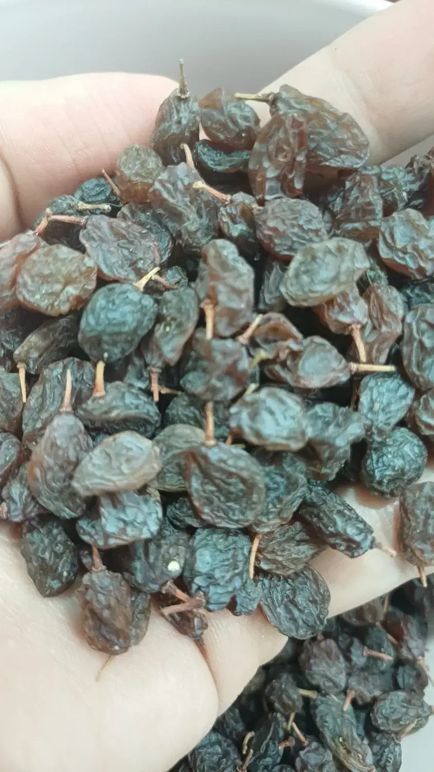 گردو، کشمش، مویز|خوردنی و آشامیدنی|تهران, باغ فیض|دیوار