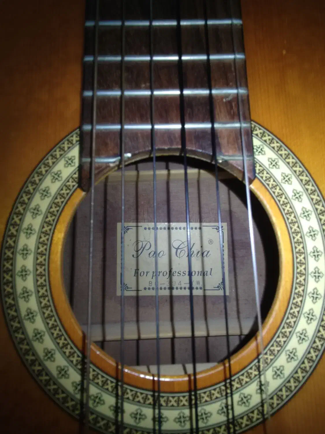 گیتار حرفه ای|گیتار، بیس، امپلیفایر|شاهینشهر, مسکن مهر|دیوار