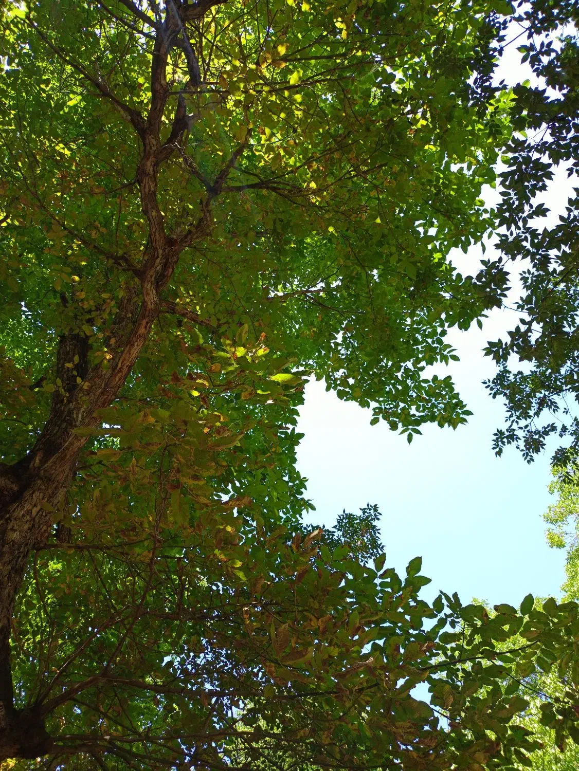 دنبال شغل میگردم خانم|خدمات رایانهای و موبایل|زاهدان, |دیوار