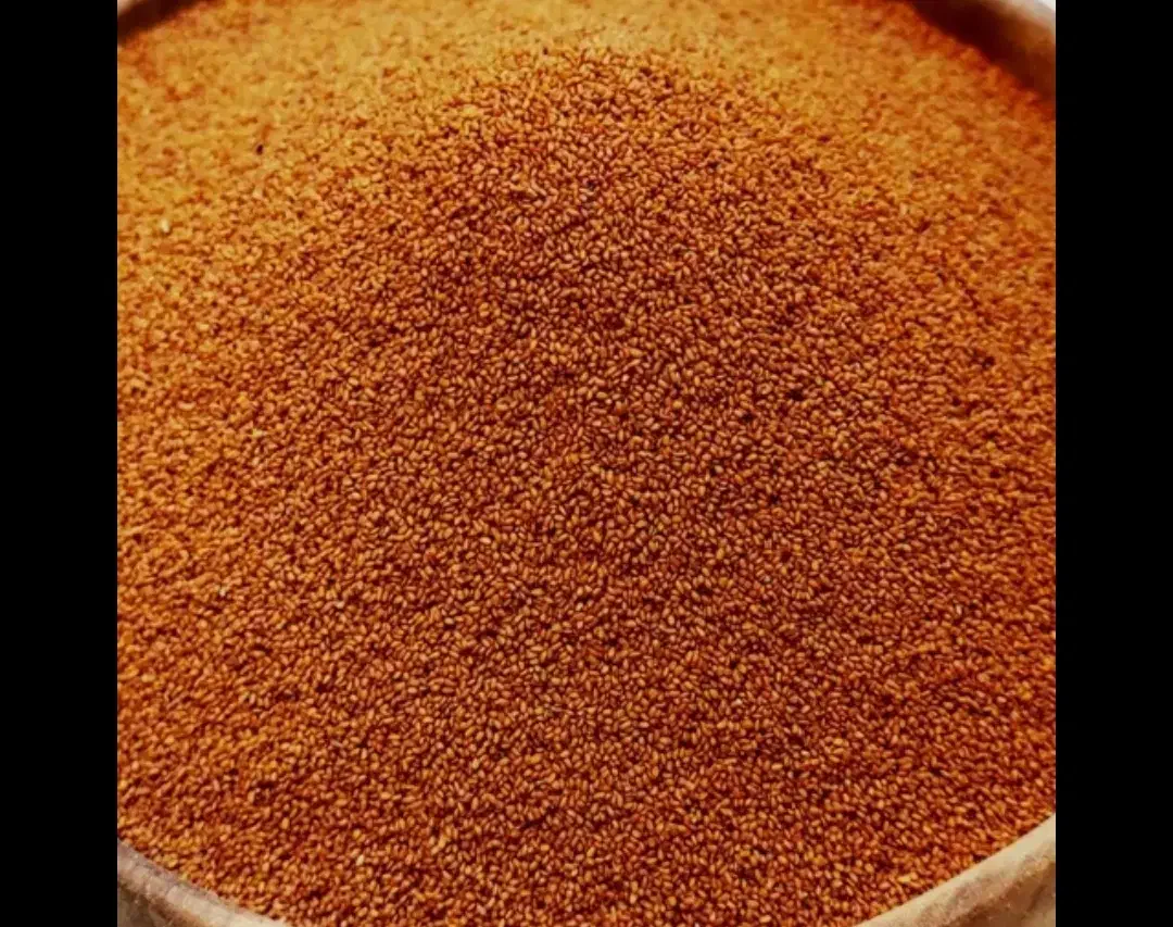 خاکشیر بذری زرین|حیوانات مزرعه|مرودشت, مجد آباد|دیوار