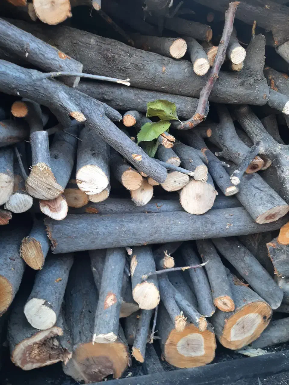 فروش دستگاه زغال چوب|ماشینآلات صنعتی|مراغه, |دیوار