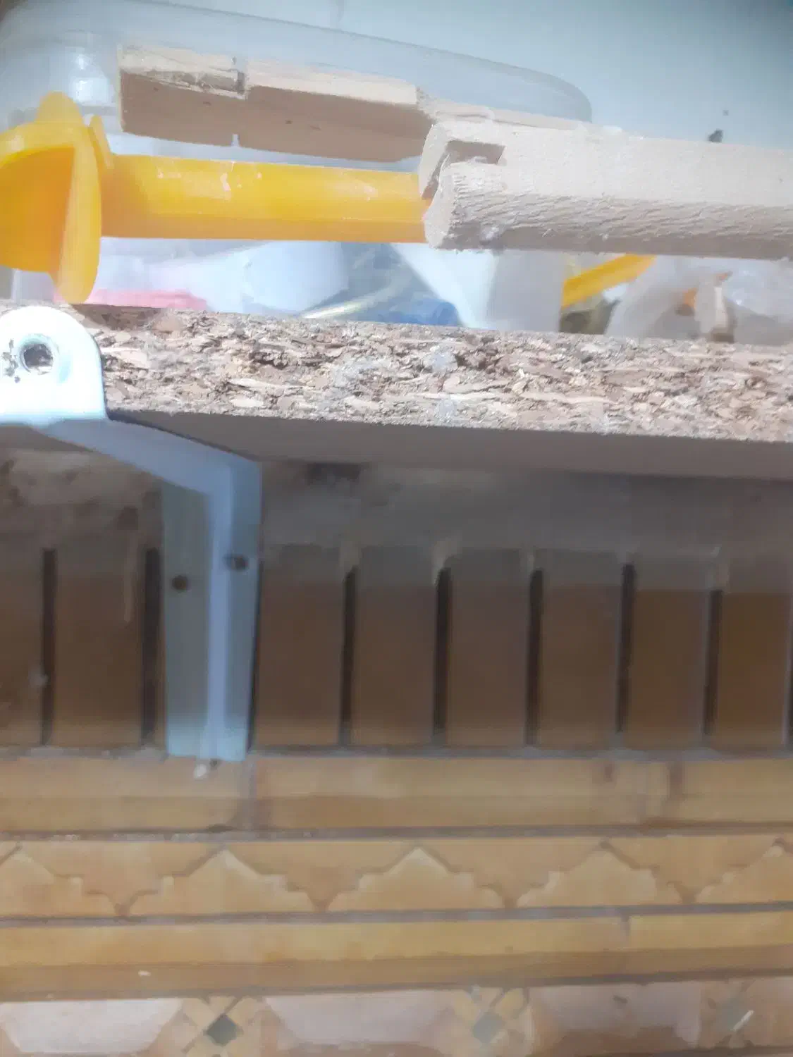 انواع لانه|پرنده|شیراز, شریفآباد|دیوار