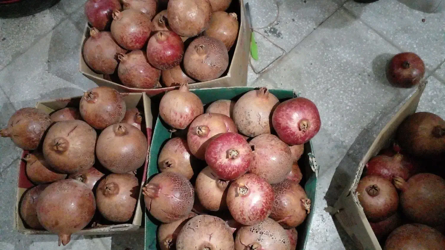 انارلیلی|خوردنی و آشامیدنی|سبزوار, غرب نیروگاه|دیوار