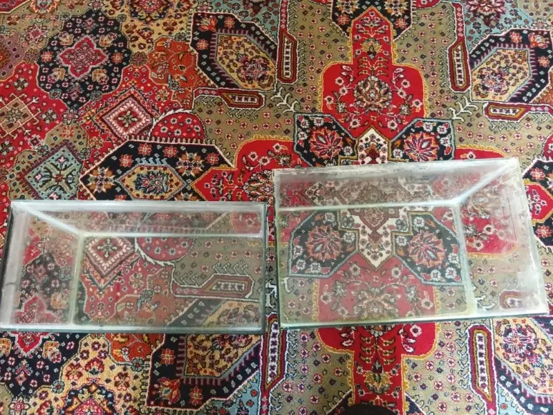 فروش فوری آکواریوم|ماهی|تهران, تختی|دیوار