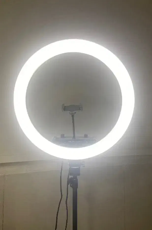 رینگ لایت|دوربین عکاسی و فیلمبرداری|مشهد, شهید قربانی|دیوار