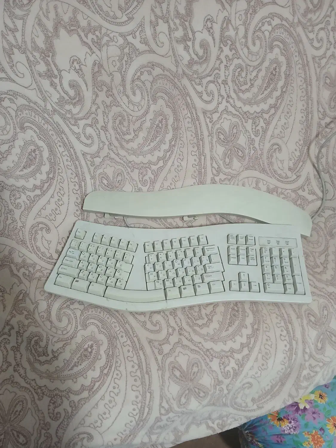 کیبورد|پیانو، کیبورد، آکاردئون|خوی, |دیوار