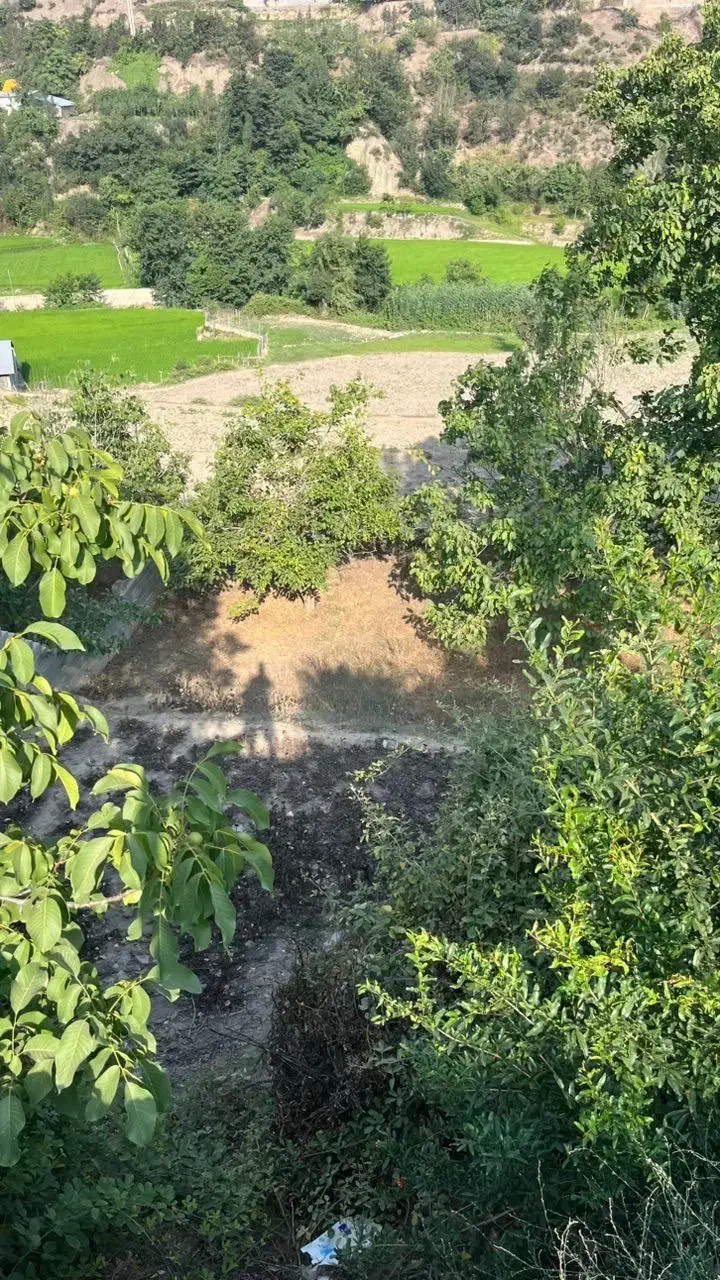 زمین در بهتربن منطقه سوادکوه|فروش زمین و ملک کلنگی|آلاشت, |دیوار