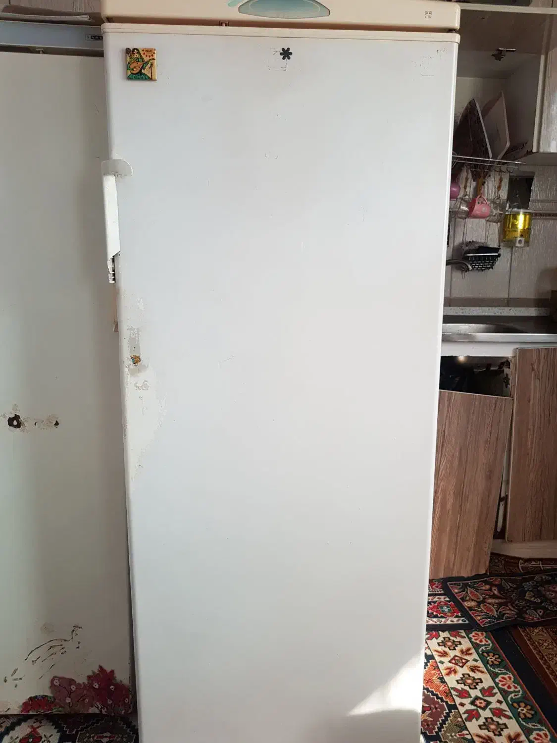 فروش یخچال|یخچال و فریزر|لاهیجان, کوی آزادگان|دیوار