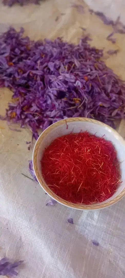 بهترین زعفران مشهد با عیار بالا|خدمات پذیرایی، مراسم|میان ولایت, |دیوار