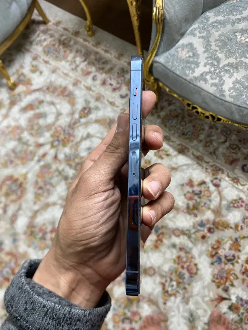 ایفون ۱۳ پرومکس ۲ سیم|موبایل|مشهد, فاطمیه|دیوار