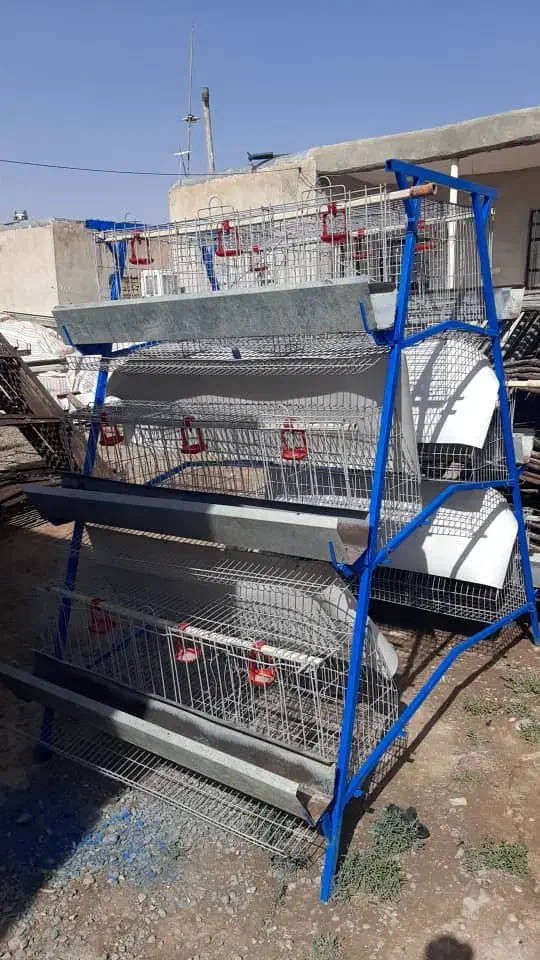 خرید فروش قفس مرغ تخمگذار گوشتی|لوازم جانبی حیوانات|آوج, |دیوار