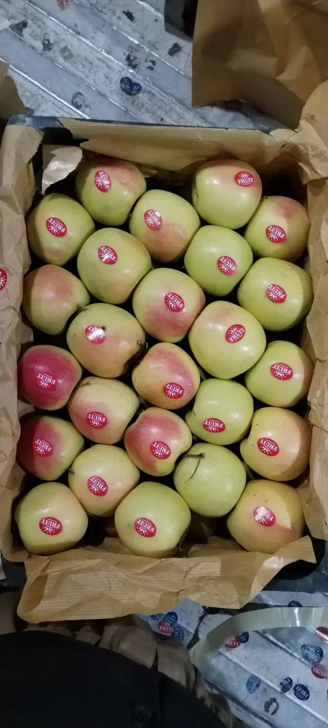 کاردسردخانه سیب چیدن داخل جعبه سیب|استخدام خدمات فروشگاه و رستوران|پیرانشهر, |دیوار