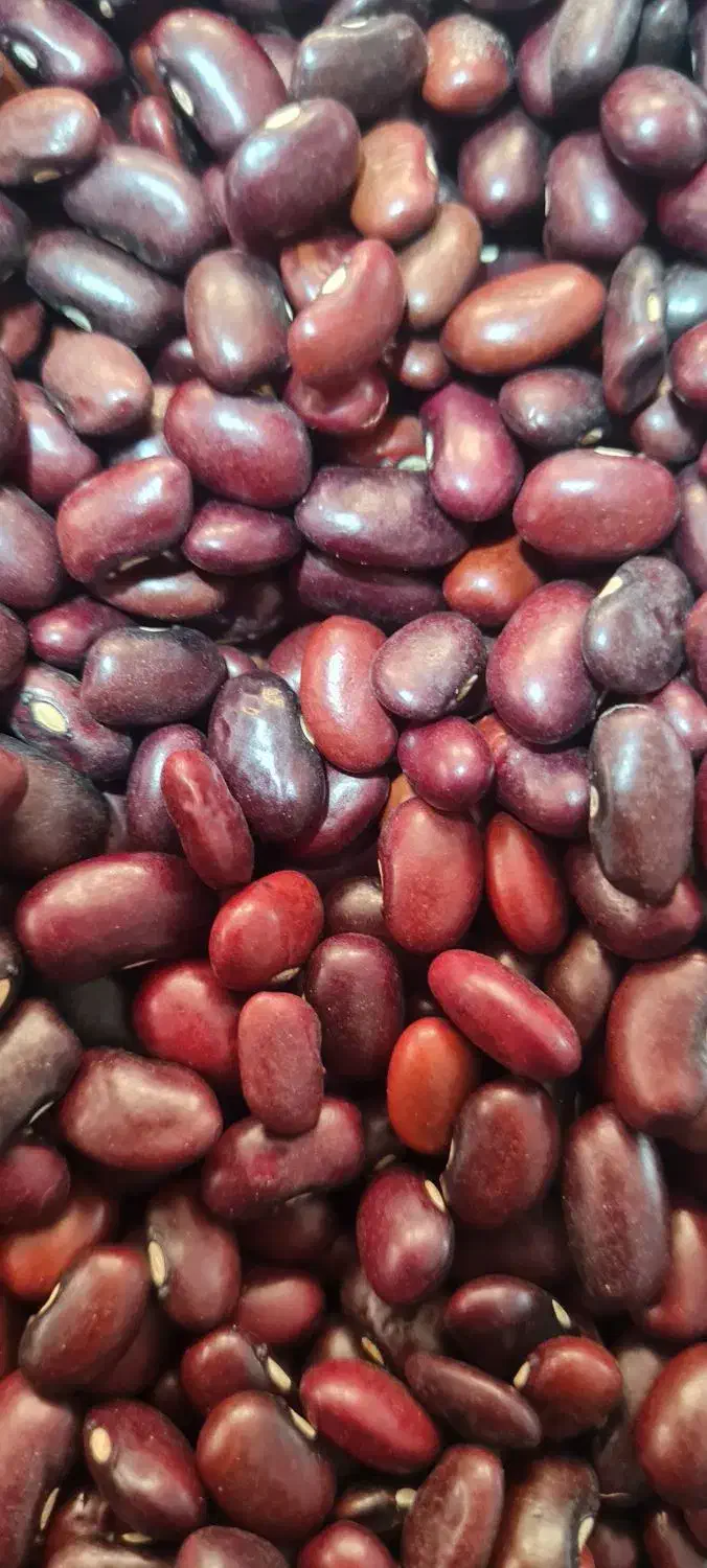 لوبیا قرمز|خوردنی و آشامیدنی|شیراز, میدان قائم|دیوار