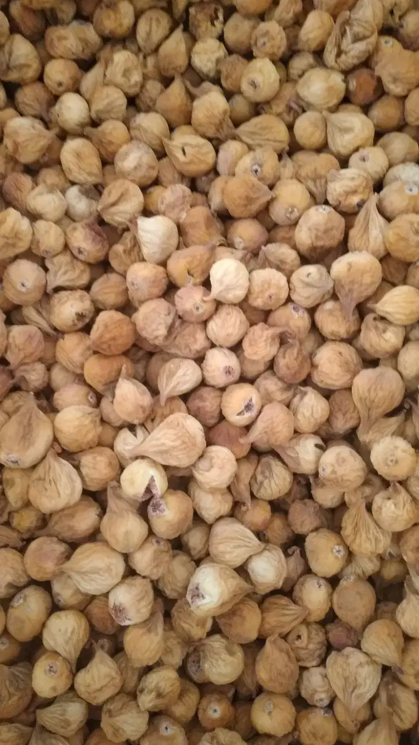 انجیر|خوردنی و آشامیدنی|شیراز, شهرک گلدشت حافظ‎|دیوار