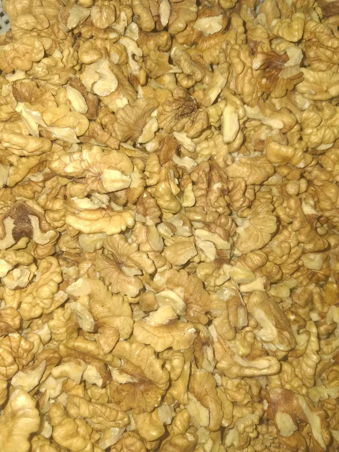 مغز گردو درجه یک ایرانی|خوردنی و آشامیدنی|شاهینشهر, خبرنگار|دیوار