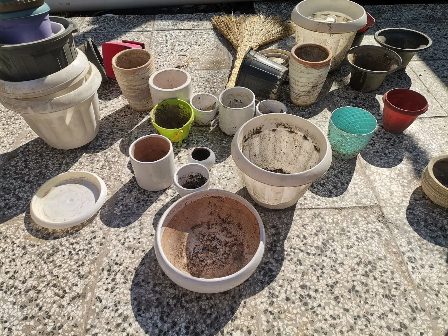 گلدان|گل و گیاه طبیعی|مینودشت, |دیوار