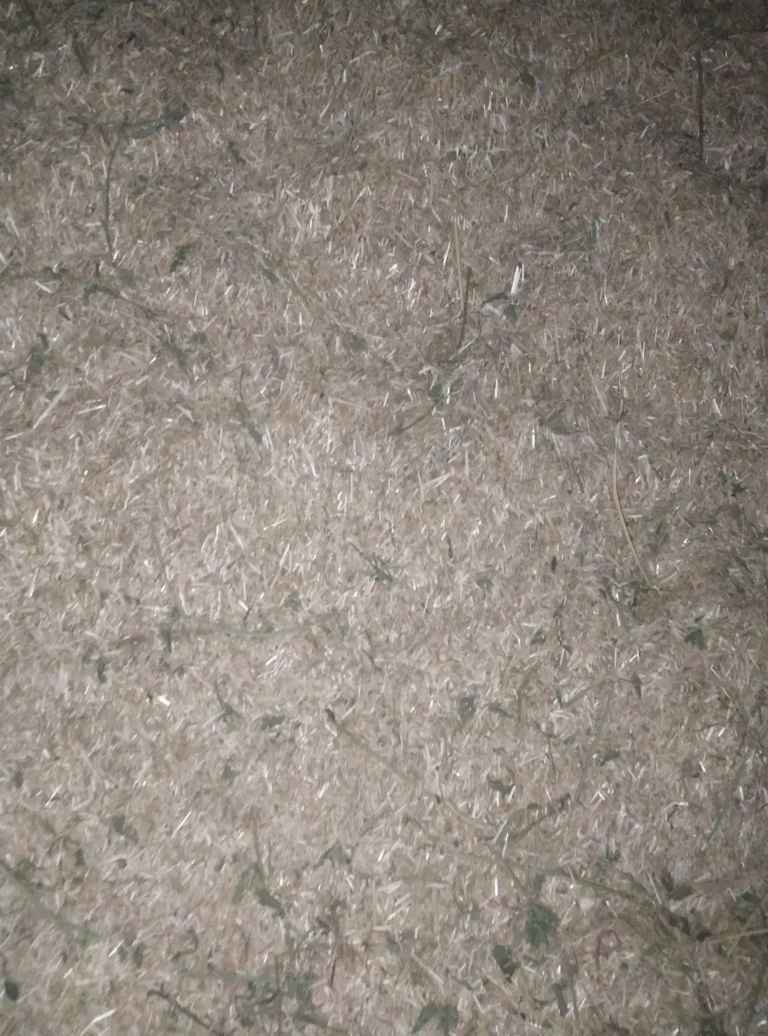 کاه گندم|لوازم جانبی حیوانات|راز وجرگلان, |دیوار