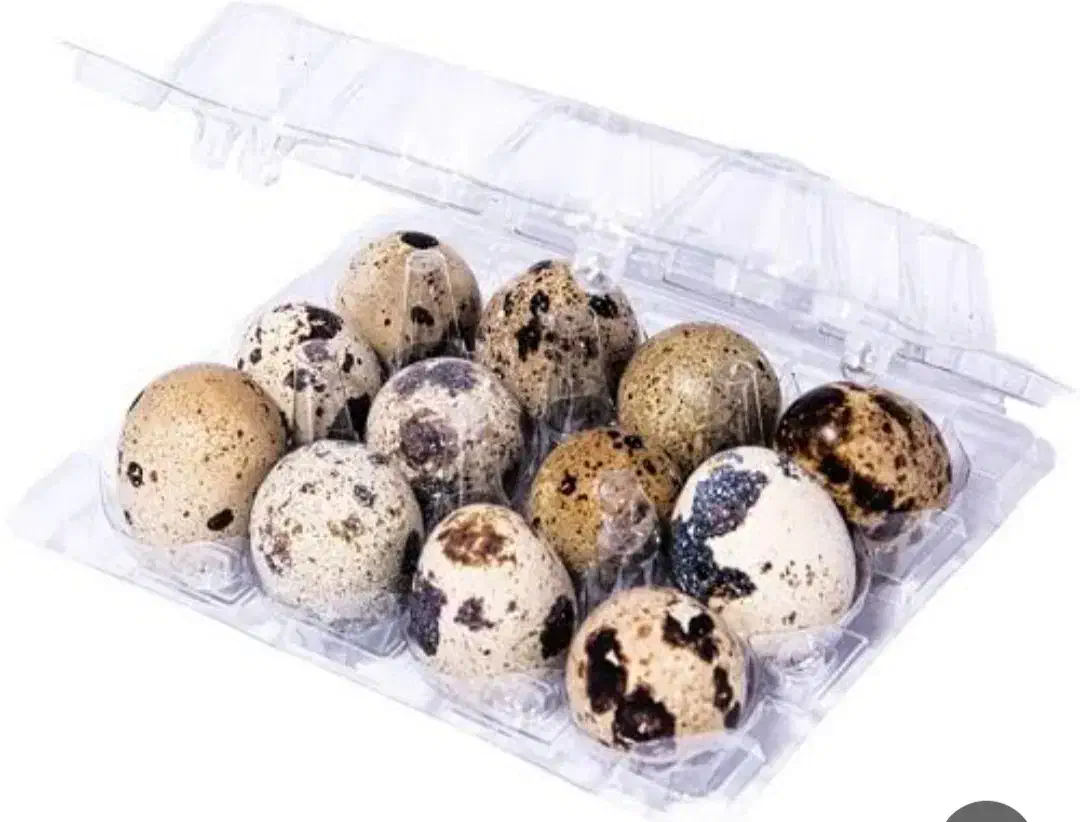 ۷۸۰تا ظرف ۱۲ تایی|ظروف نگهدارنده، پلاستیکی، یک‌بارمصرف|فردیس, نگارستان|دیوار