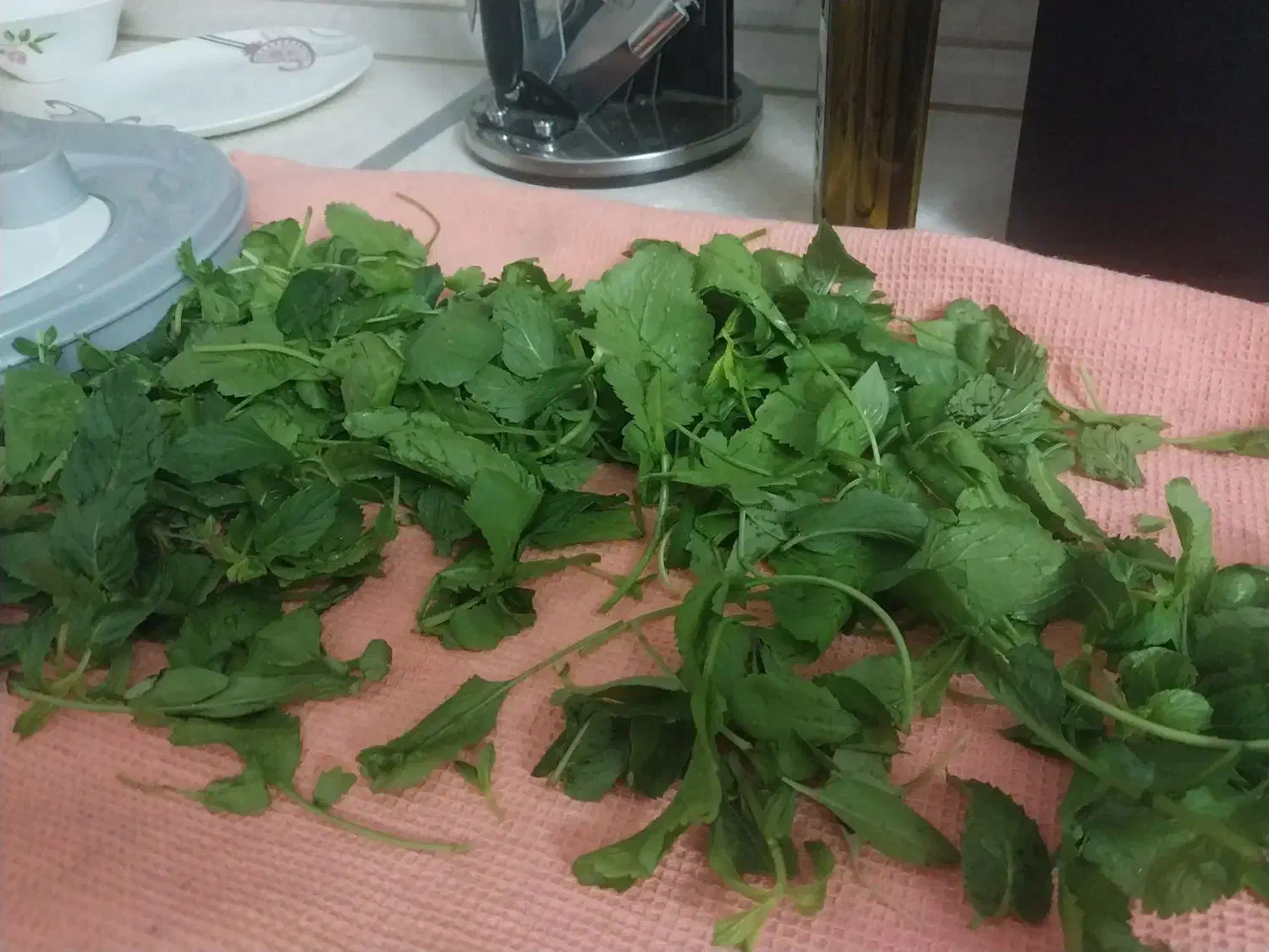 سبزی خشک کن|سایر لوازم برقی|گنبد کاووس, |دیوار