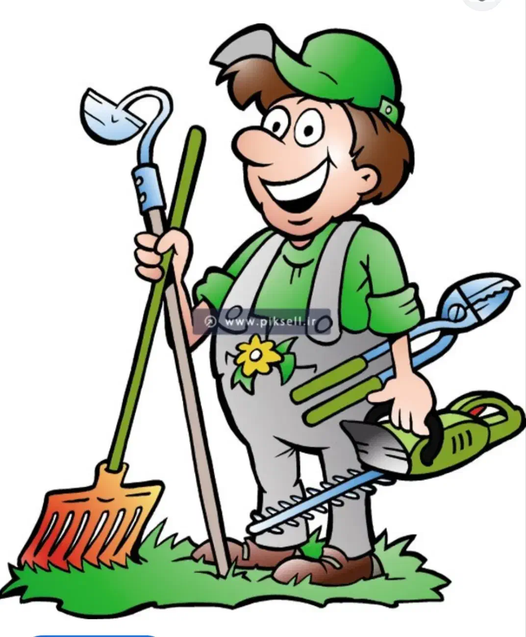 باغبانی|خدمات باغبانی و درختکاری|نیشابور, گنبد سبز|دیوار