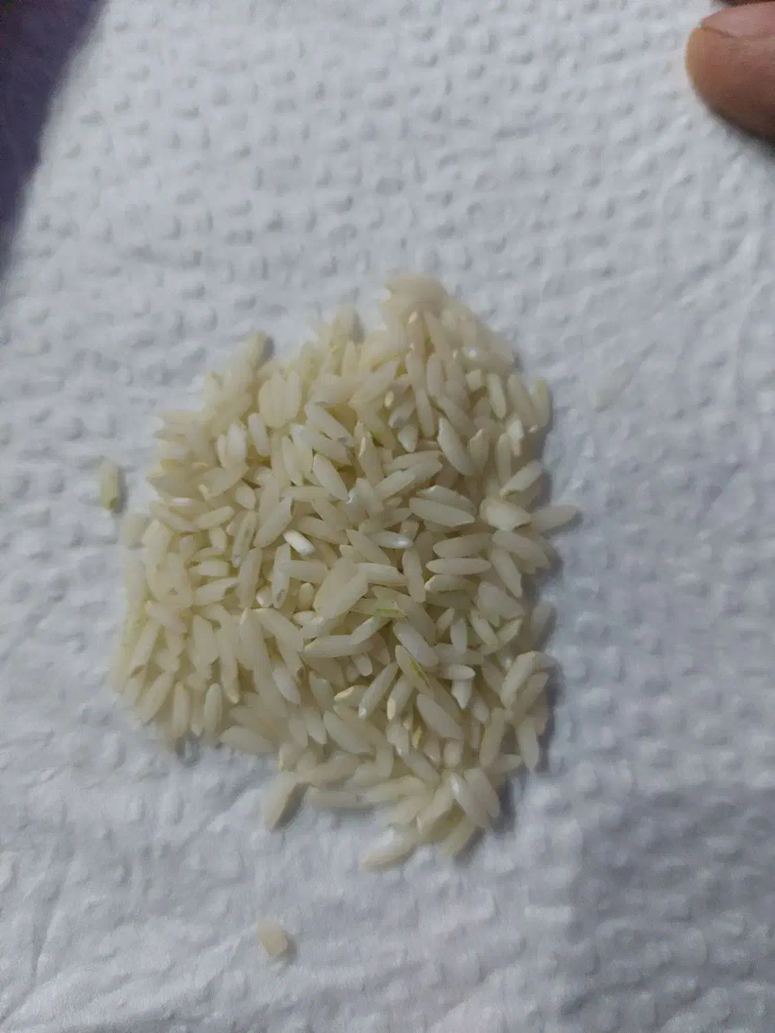 برنج ایرانی برنج دورود|خوردنی و آشامیدنی|اسلامشهر, شهرک سعیدیه|دیوار