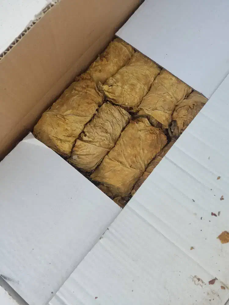 برگ زرد|عمدهفروشی|کاکی, |دیوار