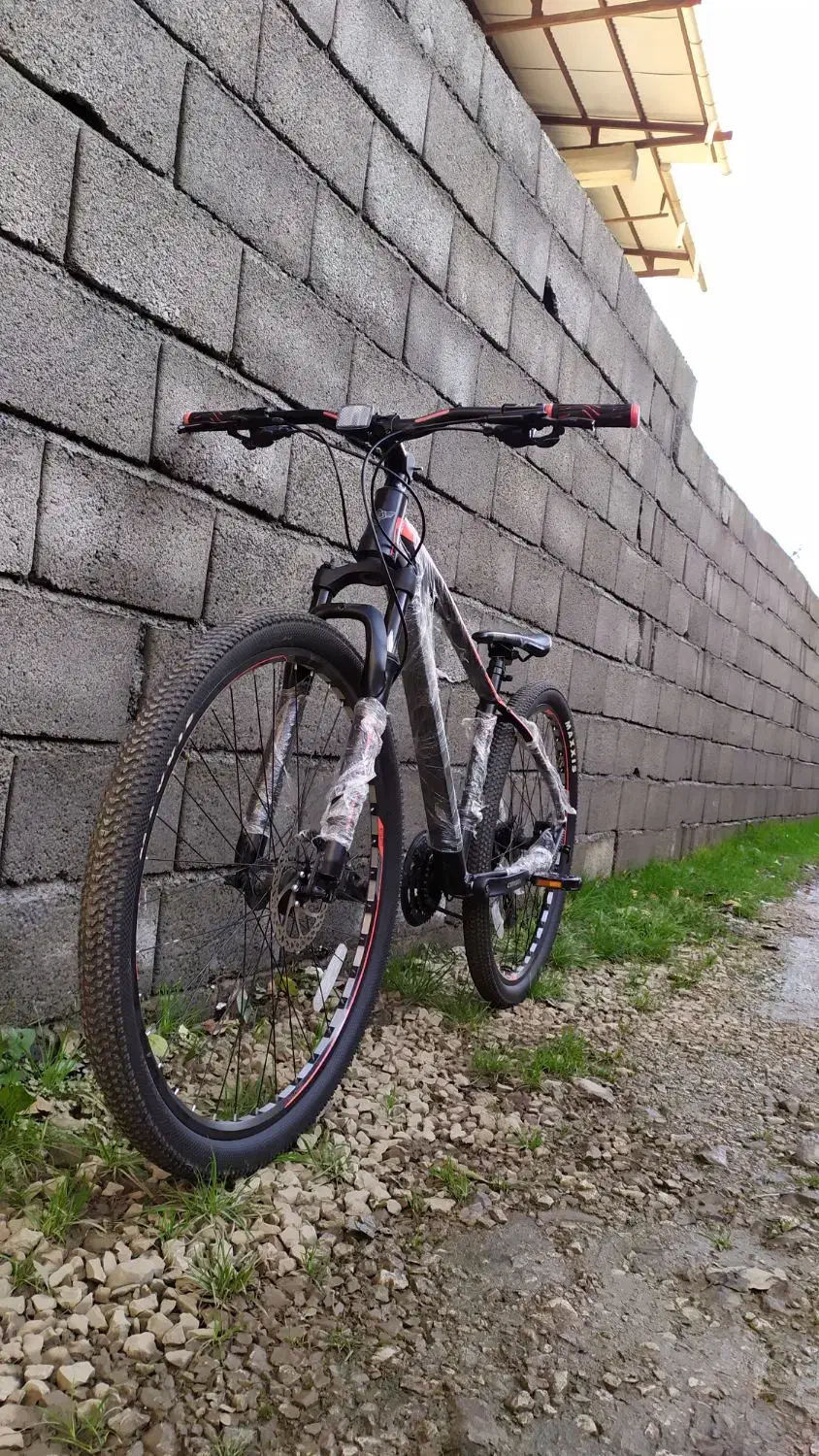 دوچرخه 29 jeef بدنه آلمینیومی|دوچرخه، اسکیت، اسکوتر|تنکابن, |دیوار