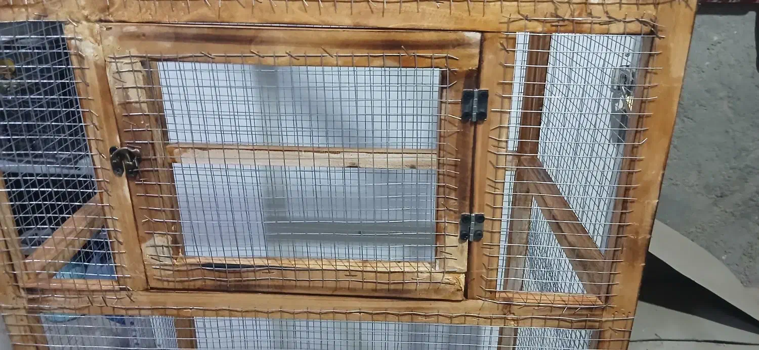 قفس پرنده عروس هلندی و ...|لوازم جانبی حیوانات|بوشهر, |دیوار