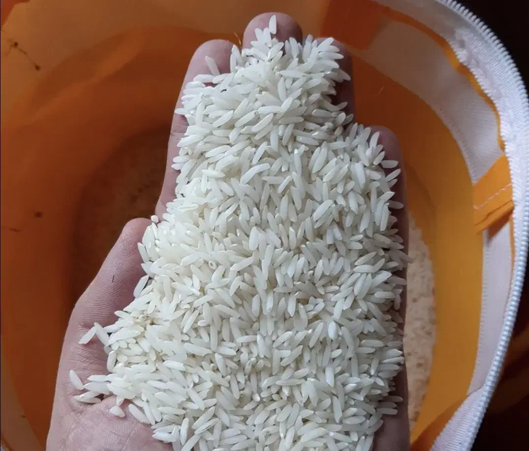 برنج طارم هاشمی درجه یک ،شکسته|خوردنی و آشامیدنی|اصفهان, جلفا|دیوار