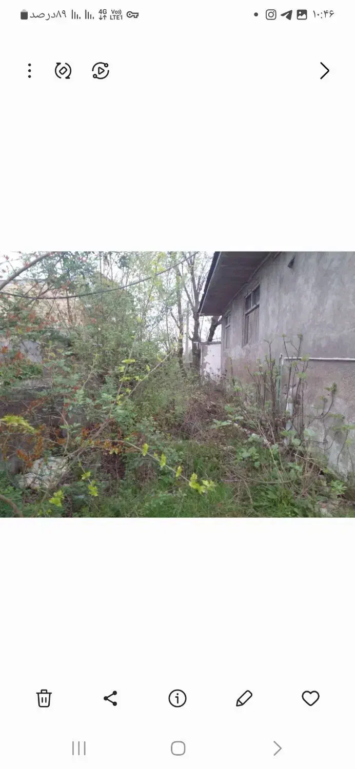 فروش زمین خانه کلنگی|فروش زمین و ملک کلنگی|رشت, لاکان شهر|دیوار