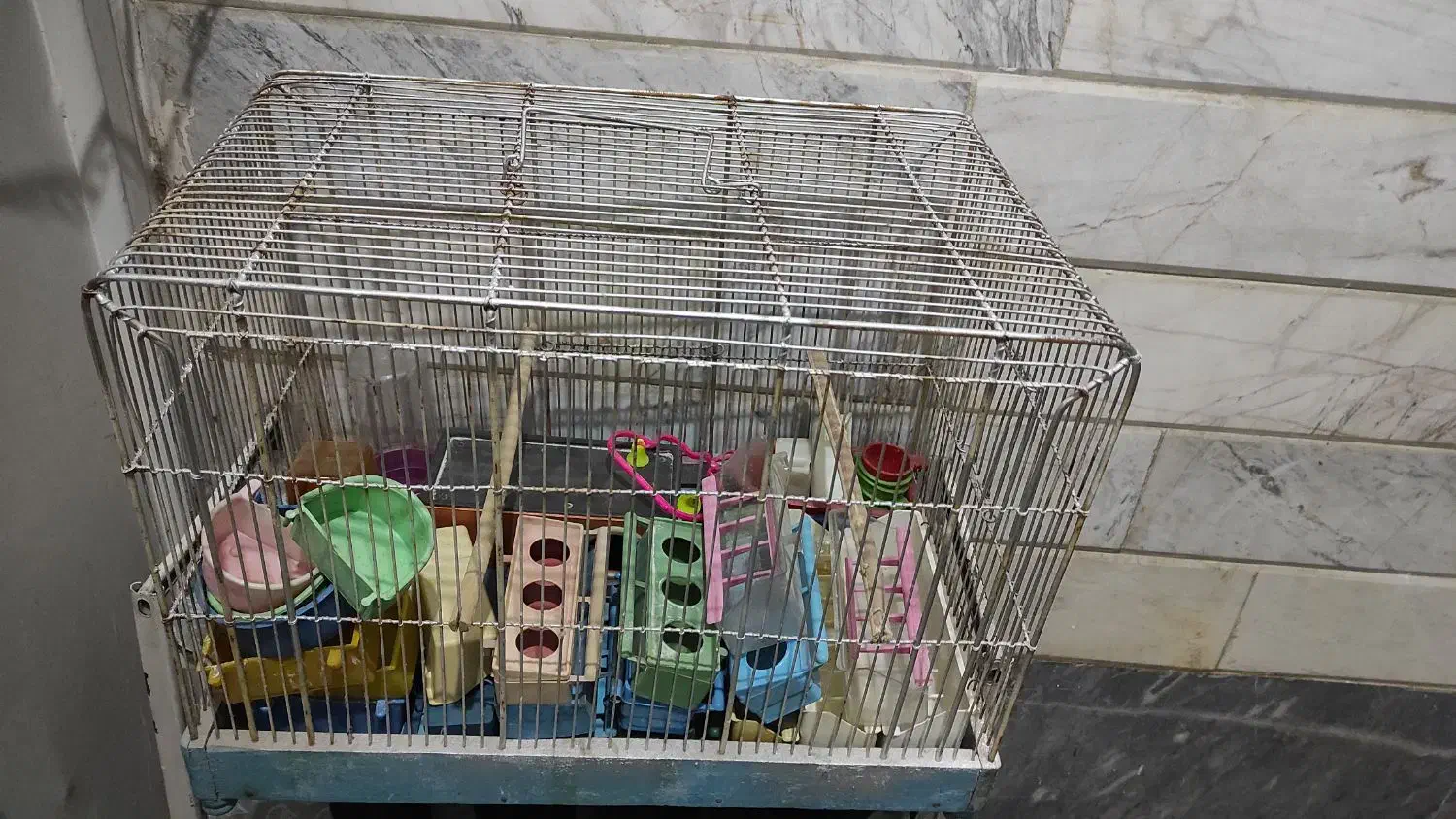قفس پرنده|لوازم جانبی حیوانات|قم, شهرک امام حسن|دیوار