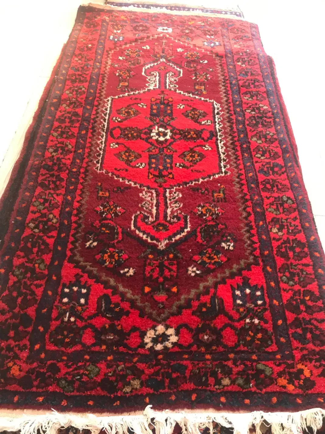 جاجیم و فرش|فرش|زنجان, |دیوار