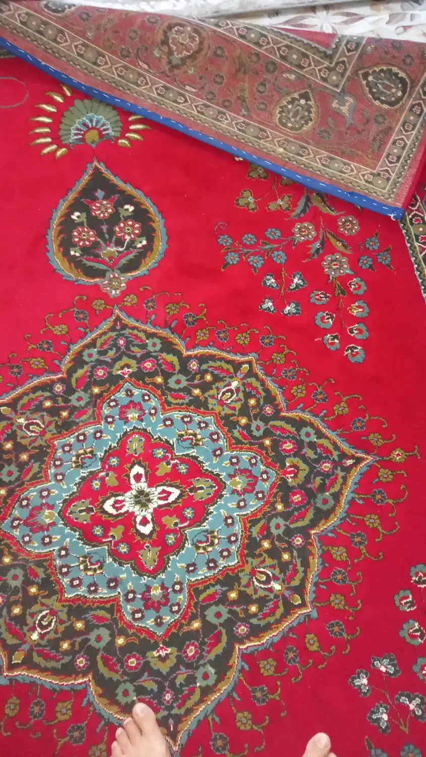 قالی ش متر و۱۲ متر قرمز|فرش|ایوان, |دیوار