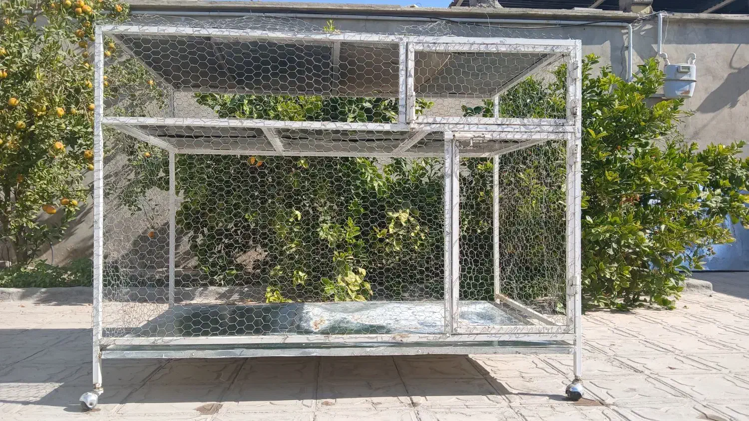 قفس آهنی دو طبقه همراه با کفی کشویی|لوازم جانبی حیوانات|داراب, |دیوار