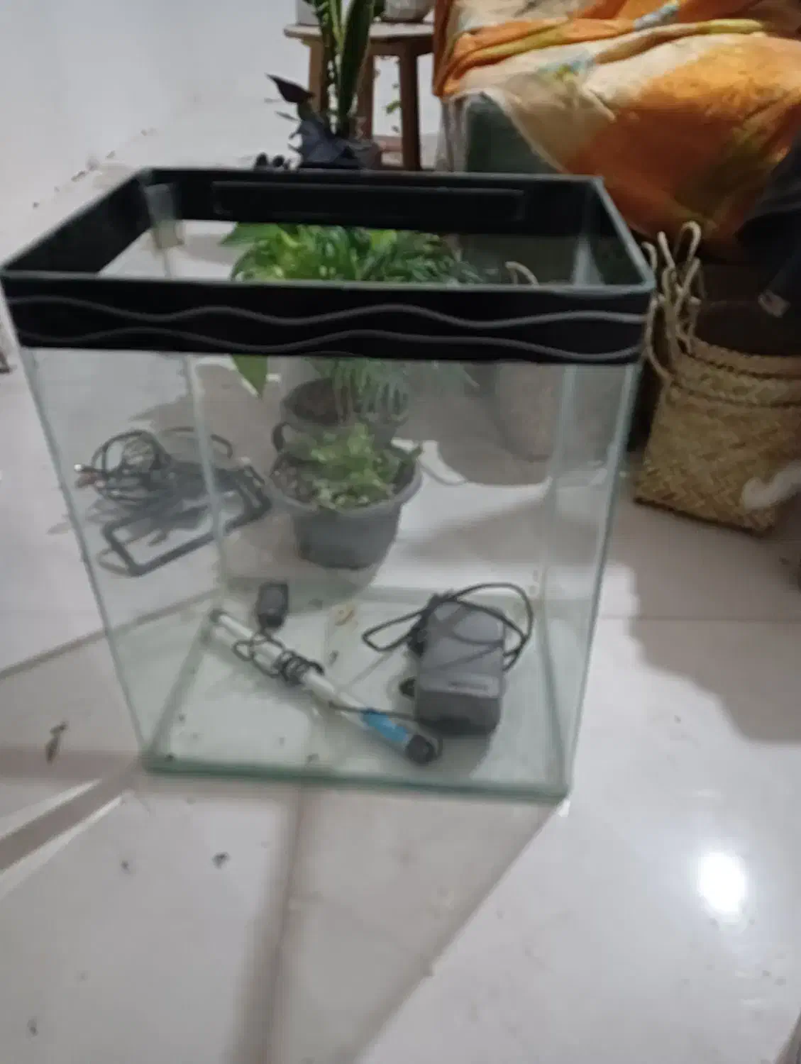 آکواریوم شیشه جلو خم شیک|ماهی|بومهن, |دیوار