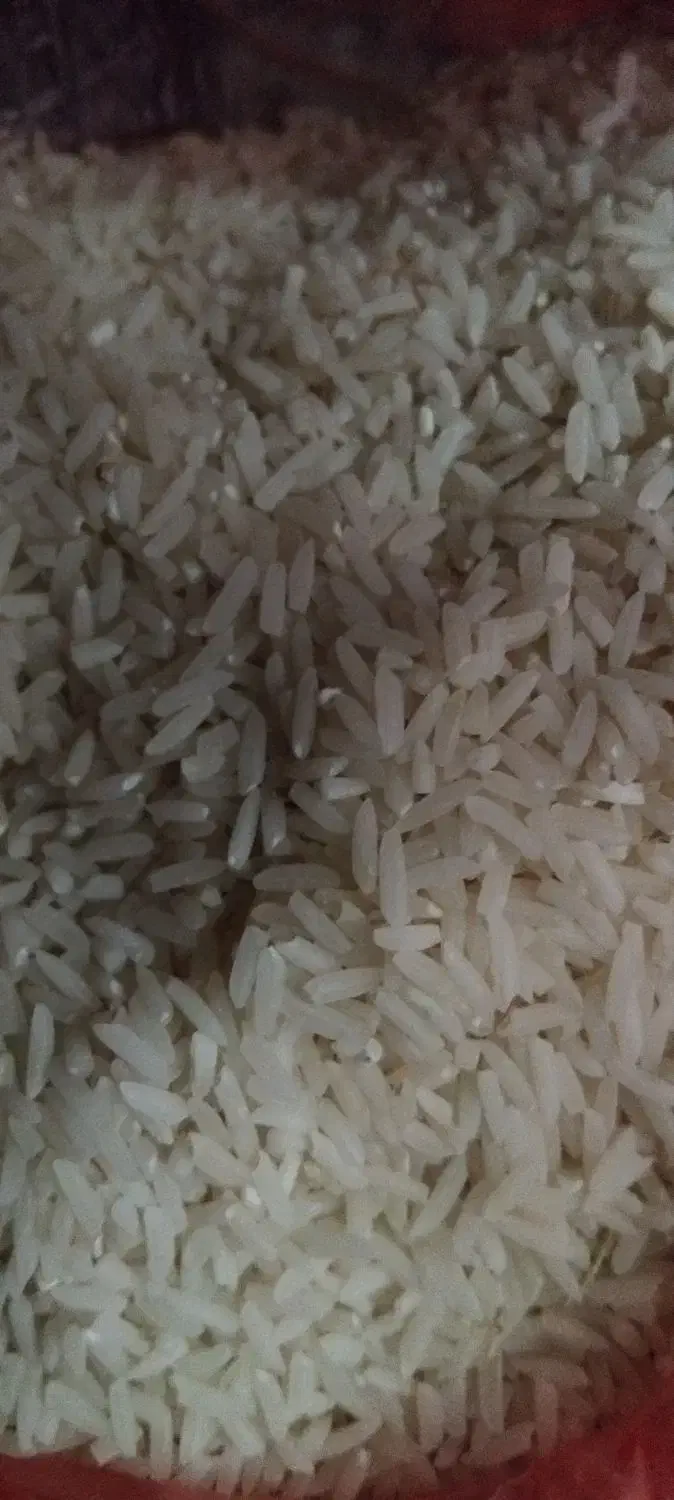 برنج محلی دم سیاه بوجار شده درجه یک|خوردنی و آشامیدنی|آزادشهر, |دیوار