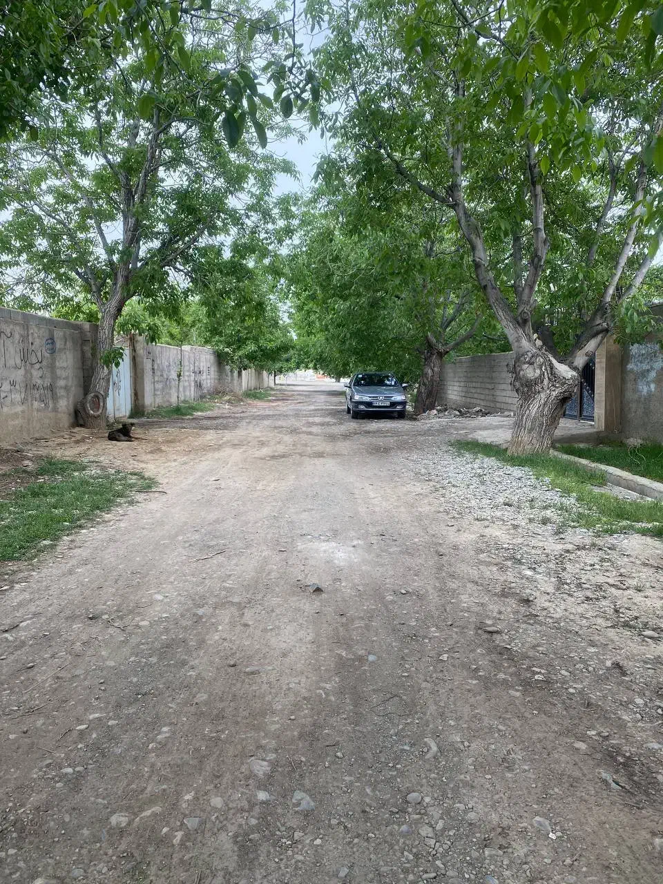 باغ ۹۰۰متری/سند۶دانگ/دونبش/منطقه ویلایی پدم|فروش خانه و ویلا|محمدشهر, همایون ویلا|دیوار