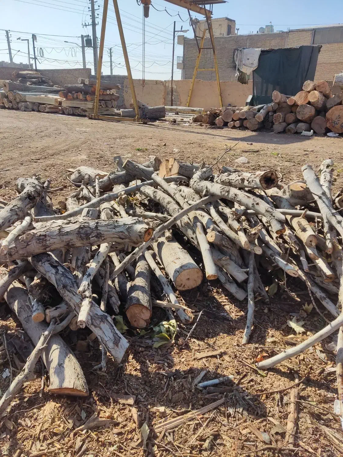 چوب هیزمی کیلویی و بسته بندی|خدمات باغبانی و درختکاری|اصفهان, لیمجیر|دیوار