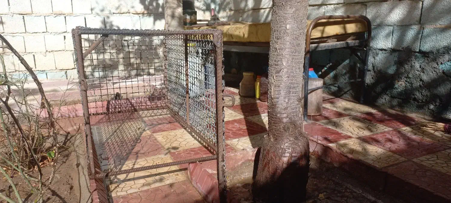 قفس طوری سنگین از آرماتور و طور فلزی|لوازم جانبی حیوانات|میاندوآب, |دیوار