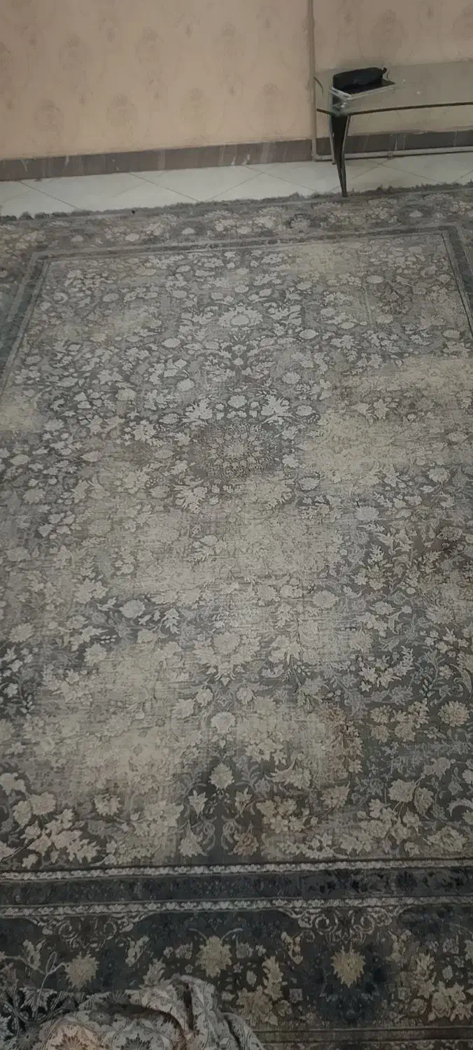 فرش|فرش|پاکدشت, پاکدشت (مامازند)|دیوار