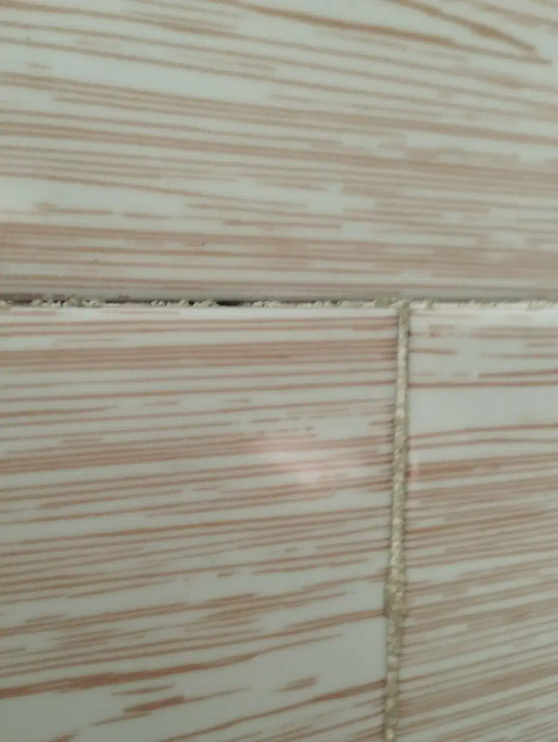 گم شدن مدارک به نام مهدی لطفی|اشیا|قائن, |دیوار