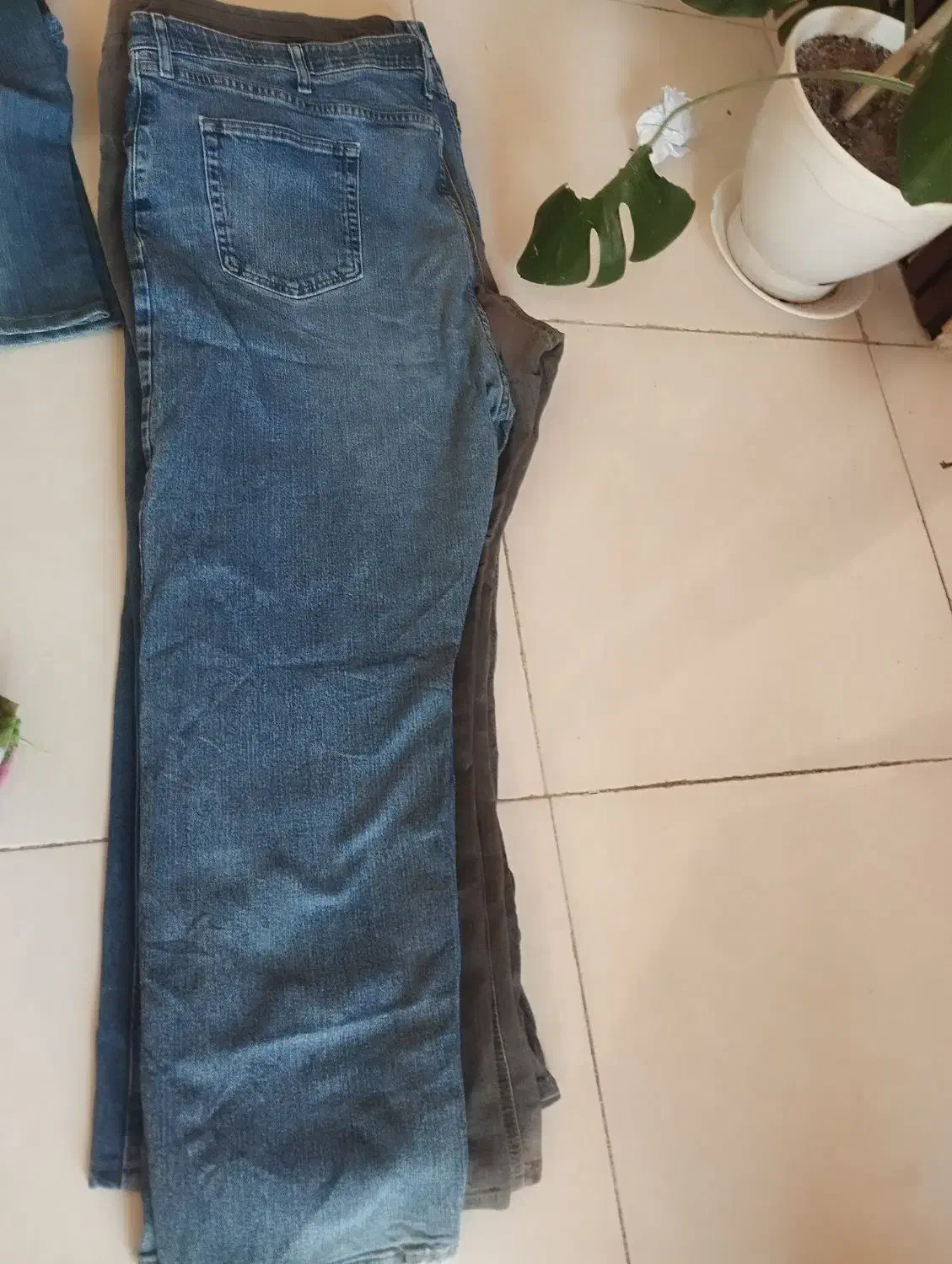 شلوار لی|لباس|کاشمر, |دیوار