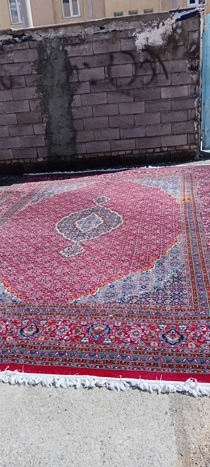 فرش|فرش|سقز, |دیوار