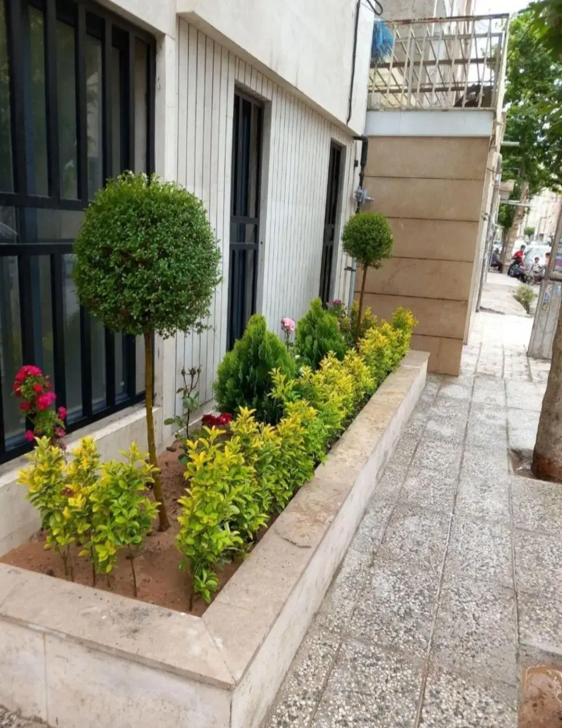 خدمات کاشت و باغبانی|خدمات باغبانی و درختکاری|اصفهان, پروین|دیوار