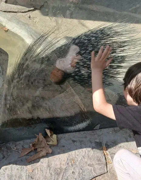 مربی|استخدام آموزشی|کرج, کوی فرهنگ|دیوار