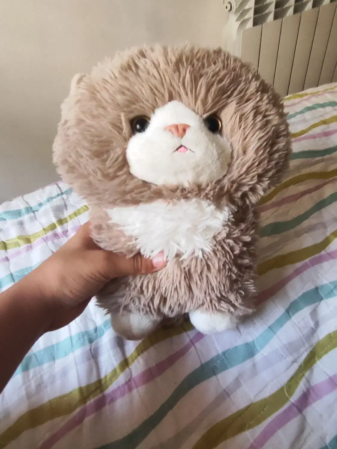 فروش انواع عروسک.|اسباب‌بازی بچه|بابل, |دیوار